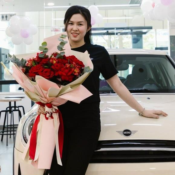 sale mini Giới Thiệu
